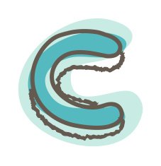 Letter C N82