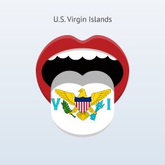 U S Virgin Islands language