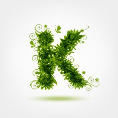 Green eco letter K for your design