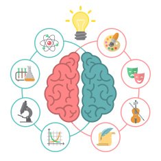 Brain Concept N4