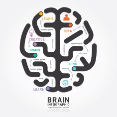 infographics vector brain design diagram line style template N2