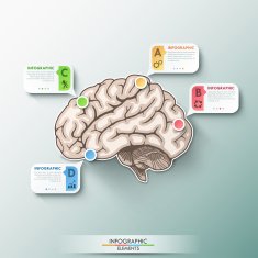 Modern Infographic Options Banner N23