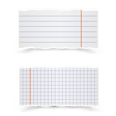 Sheets of school notebooks