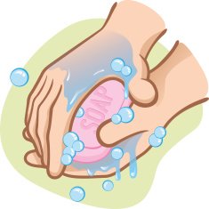 Person washing their hands with soap N2