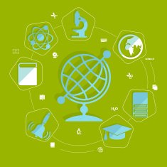 Education flat infographic N166
