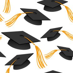 Graduation Caps N3