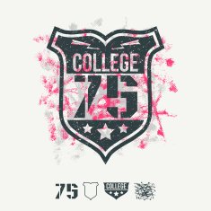 College sport emblem and design elements N2