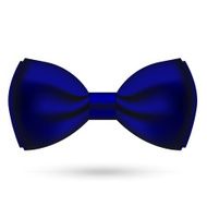 Bow Tie N14