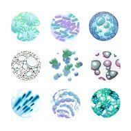 Bacteria Icons Set