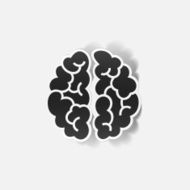 realistic design element brain N36