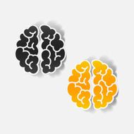 realistic design element brain N37