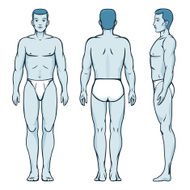 Man body model Front back and side human poses