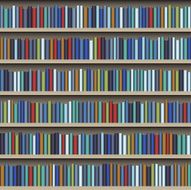 Bookshelf N29