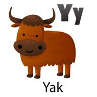 Alphabet Y with yak