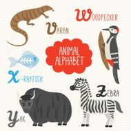 Alphabet for kids Varan Woodpecker X-ray fish Yak Zebra N2