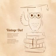 Owl sitting on books N2