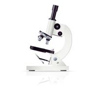 Microscope N31