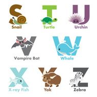Alphabet Animals N3