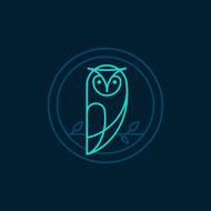Vector owl icon in outline style