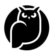 Owl Icon N23