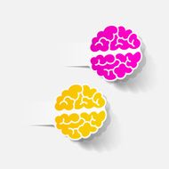 realistic design element brain N38