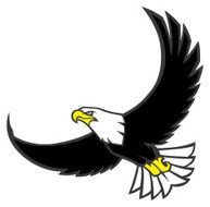 flying eagle N2
