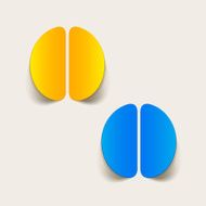 realistic design element brain N42