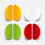 realistic design element brain N46