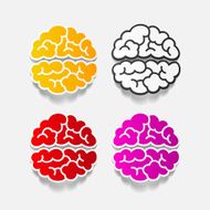 realistic design element brain N48