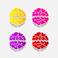 realistic design element brain N49