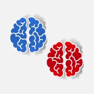 realistic design element brain N50