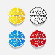realistic design element brain N52