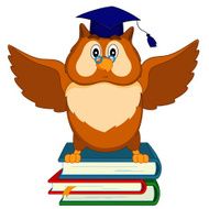 owl sits on the books N2