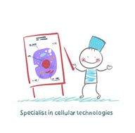 Specialist in cellular technologies speaks cells N2