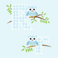 Alphabet for baby boy with owl vector letters R N2