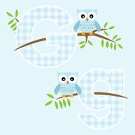 Alphabet for baby boy with owl vector letters G N2