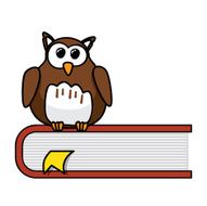 Smart cartoon owl sitting on a book