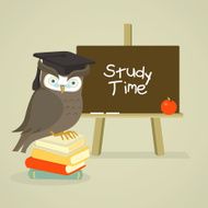Owl teacher in front of blackboard Study time