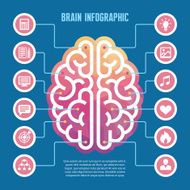 Brain infographic - vector concept illustration with icons