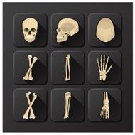 Skull And Bone Medical Health Icon Set