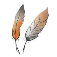 Two feathers