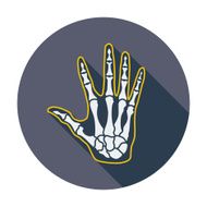 Anatomy hand N2
