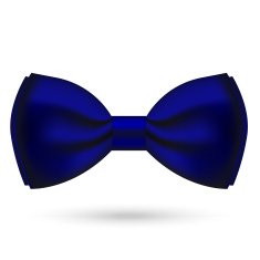 Bow Tie N14