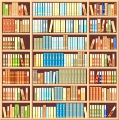Bookcase full of books N2