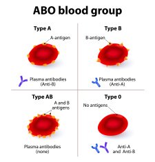 ABO Blood groups