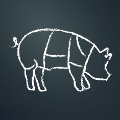 Pig chalk painted on chalkboard outline vector illustration