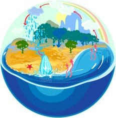 Water cycle in nature N3