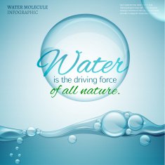 06 Infographics Bio Bubble