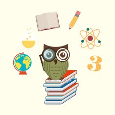 owls school N3