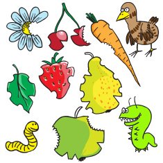 game the fruits N2